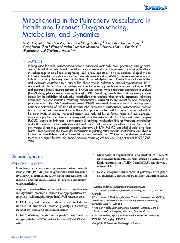 (PDF) Mitochondria in the Pulmonary Vasculature in Health and Disease ...