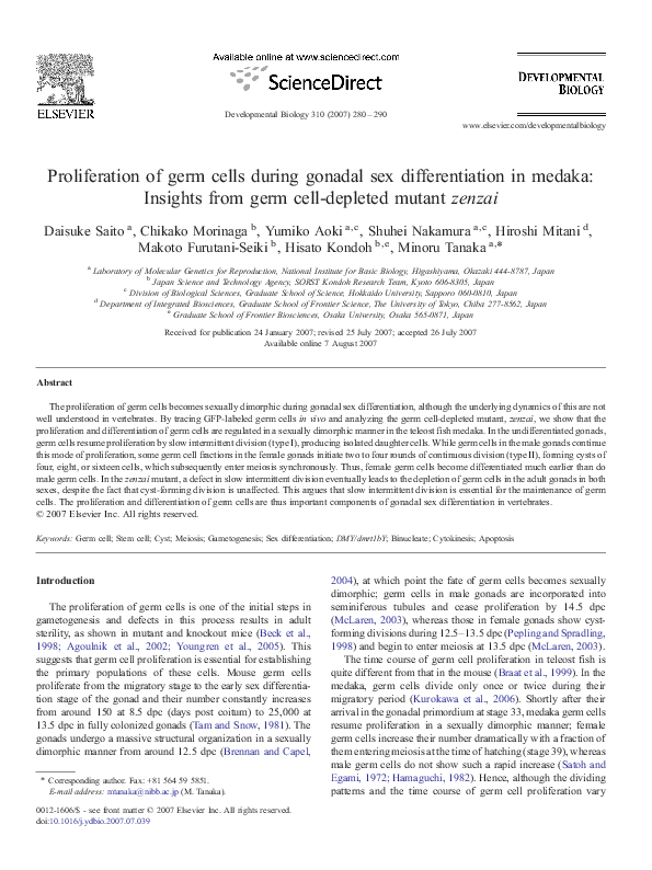 (PDF) Proliferation of germ cells during gonadal sex differentiation in ...