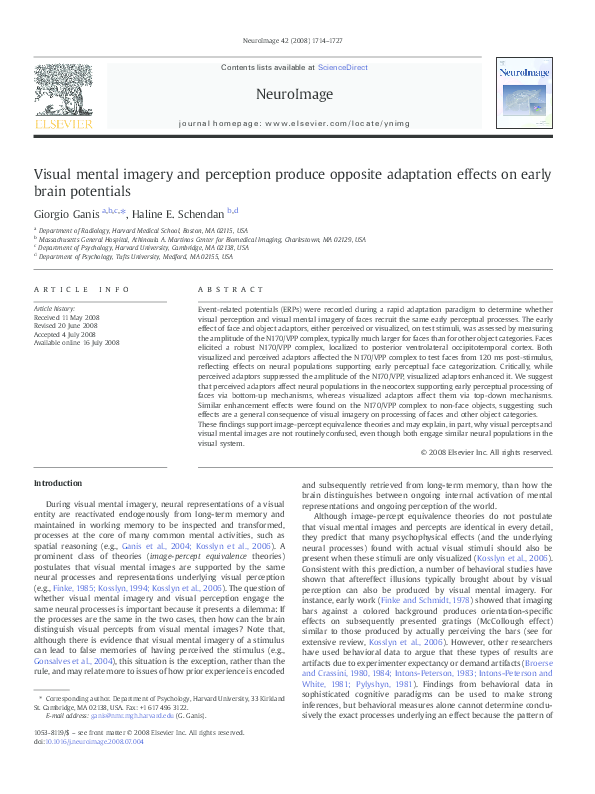 (PDF) Visual mental imagery and perception produce opposite adaptation ...