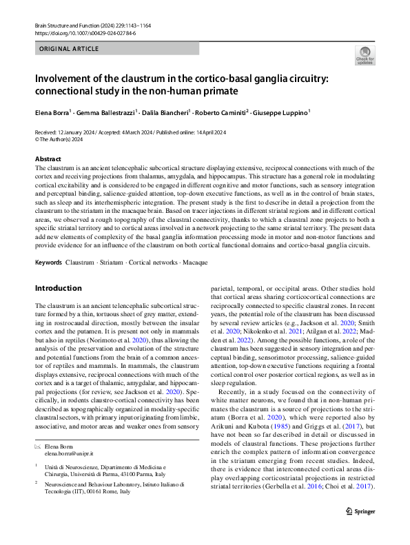 (PDF) Involvement of the claustrum in the cortico-basal ganglia ...