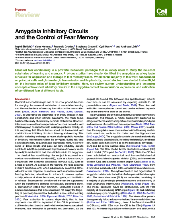 (PDF) Amygdala Inhibitory Circuits and the Control of Fear Memory