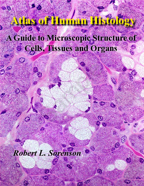 健康・医学 An Atlas of Histology An Atlas of Histology | SpringerLink