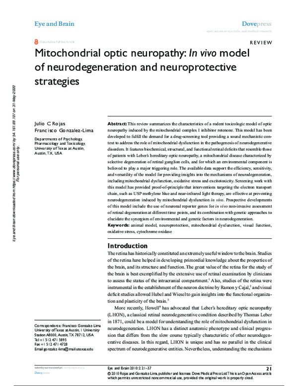 Pdf Mitochondrial Optic Neuropathy In Vivo Model Of