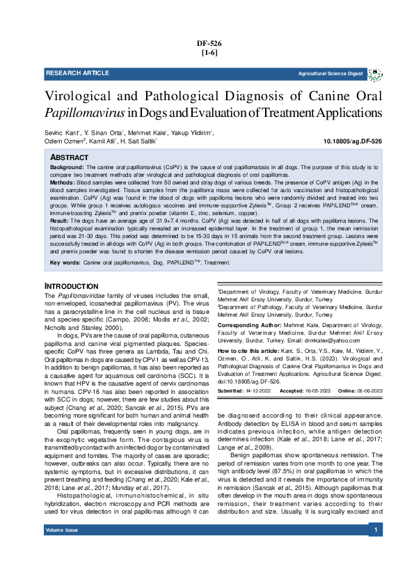 Picture of (PDF) Virological and Pathological Diagnosis of Canine Oral ...