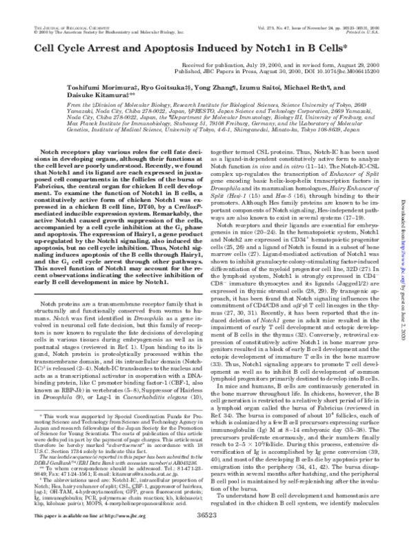 (PDF) Cell Cycle Arrest and Apoptosis Induced by Notch1 in B Cells
