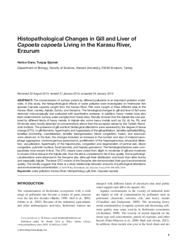 (PDF) Histopathological changes in gill and liver ofCapoeta ...