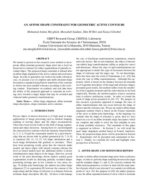 (PDF) An affine shape constraint for geometric active contours | Slim ...