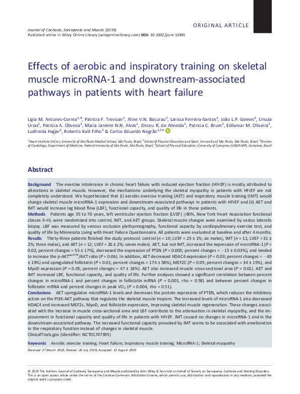 (PDF) Effects of aerobic and inspiratory training on skeletal muscle ...