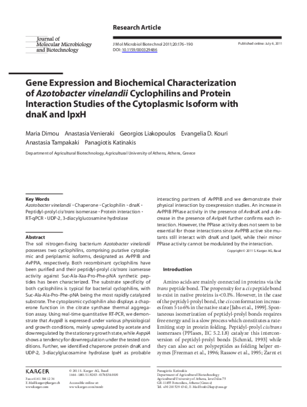 (PDF) Gene Expression and Biochemical Characterization of Azotobacter ...