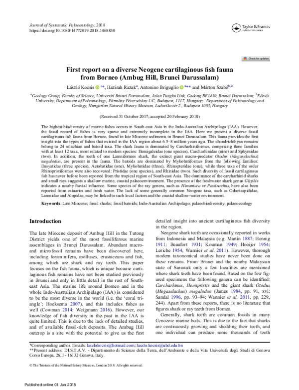 (PDF) First report on a diverse Neogene cartilaginous fish fauna from ...