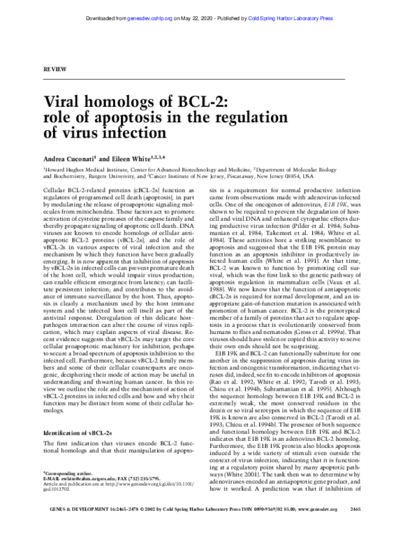 (PDF) Viral homologs of BCL-2: role of apoptosis in the regulation of ...
