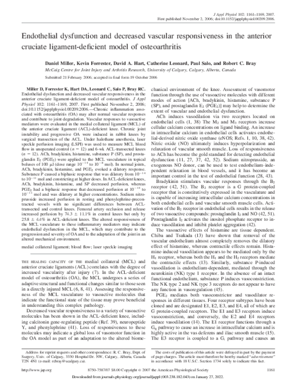 (PDF) Endothelial dysfunction and decreased vascular responsiveness in ...
