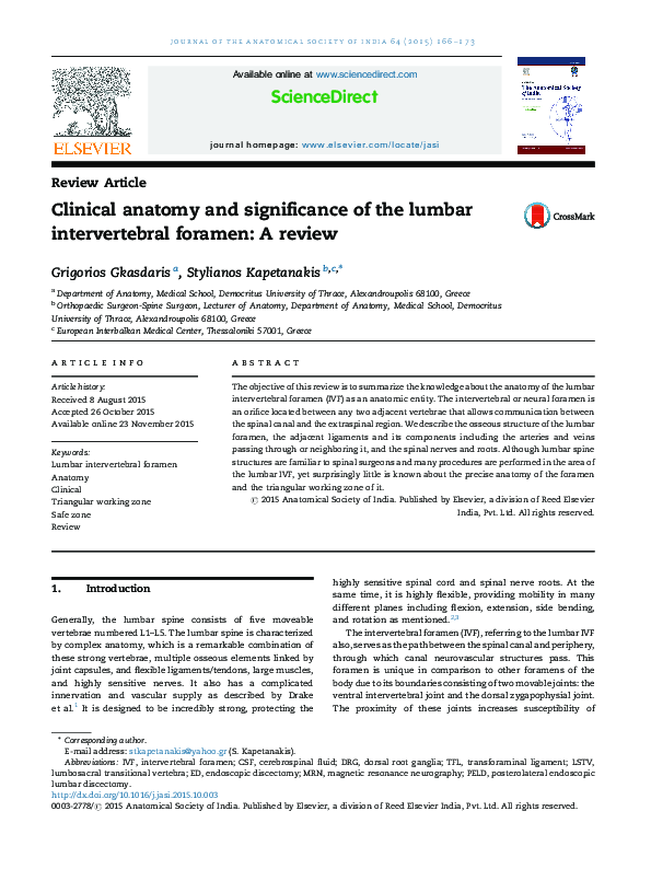 (PDF) Clinical anatomy and significance of the lumbar intervertebral ...