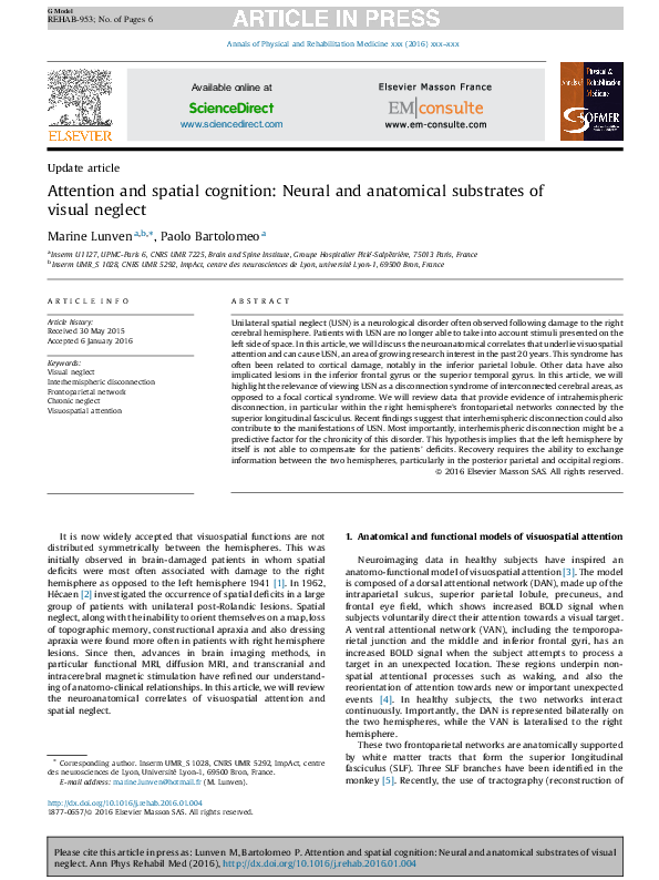 (PDF) Attention and spatial cognition: Neural and anatomical substrates ...