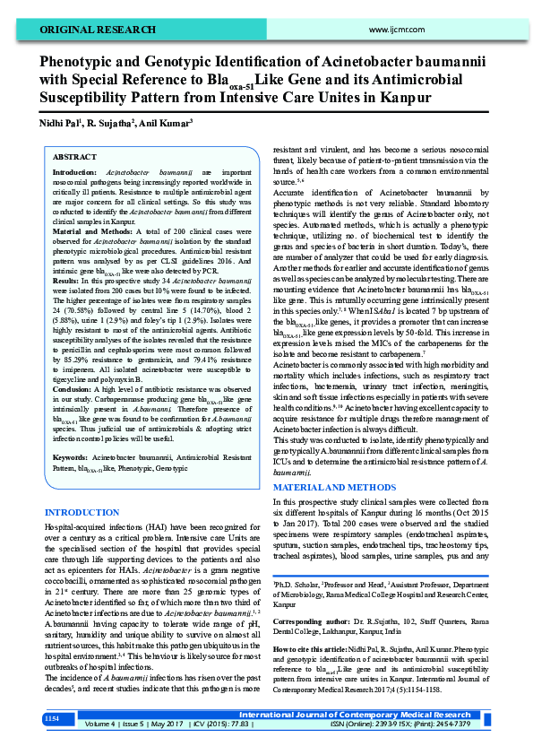 (PDF) Phenotypic and Genotypic Identification of Acinetobacter ...