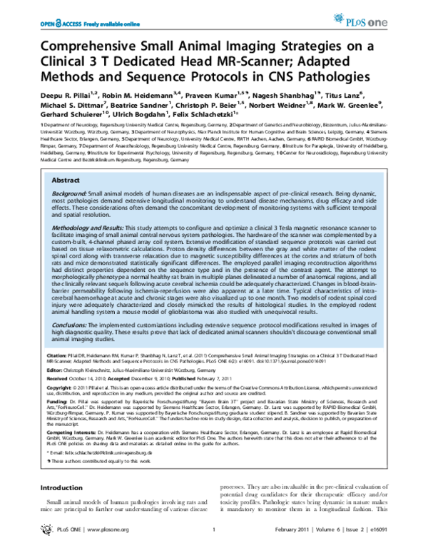 (PDF) Comprehensive Small Animal Imaging Strategies on a Clinical 3 T ...