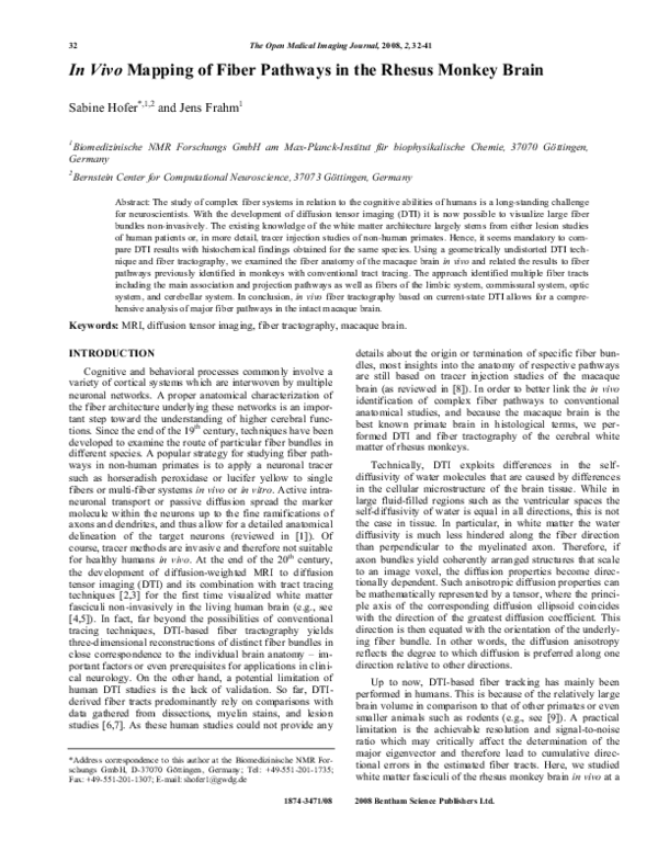 (PDF) In Vivo Mapping of Fiber Pathways in the Rhesus Monkey Brain