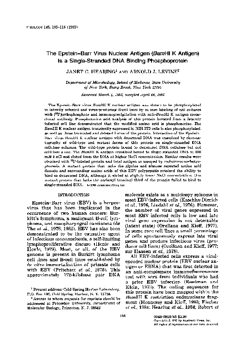 (PDF) The Epstein-Barr virus nuclear antigen (BamHI K antigen) is a ...