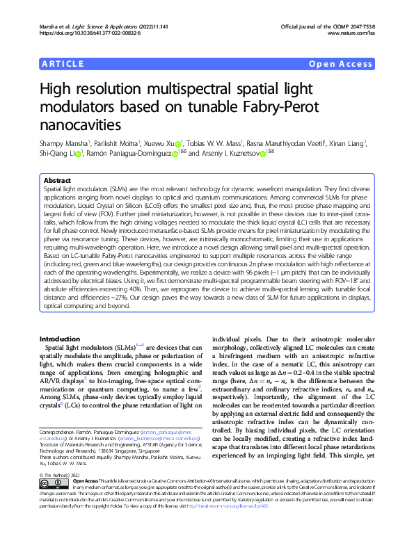 (PDF) High resolution multispectral spatial light modulators based on ...
