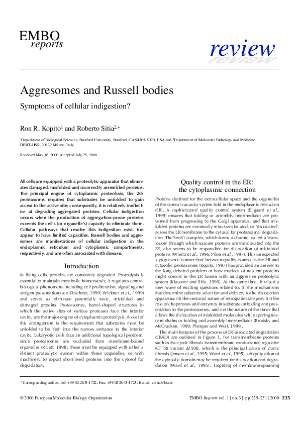 (PDF) Aggresomes and Russell bodies