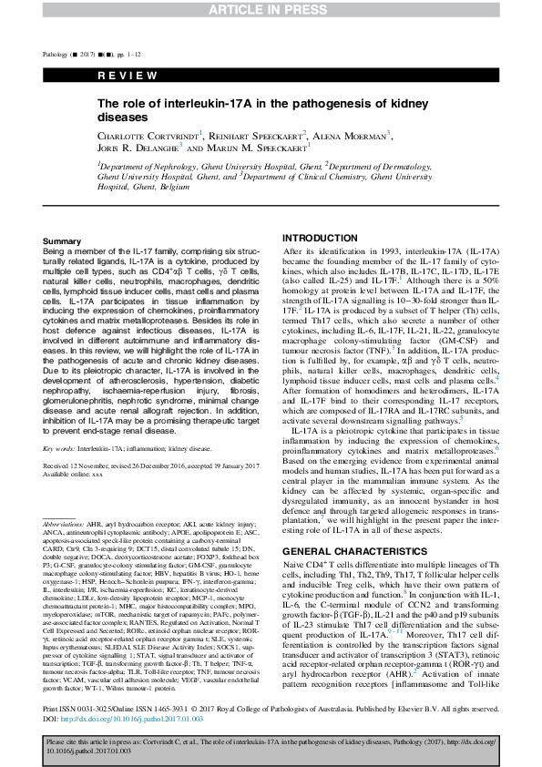 (PDF) The role of interleukin-17A in the pathogenesis of kidney diseases