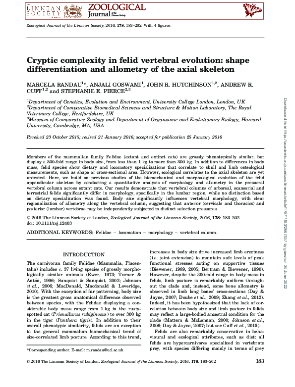 (PDF) Cryptic complexity in felid vertebral evolution: shape ...