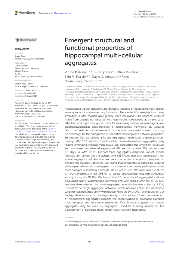 (PDF) Emergent structural and functional properties of hippocampal ...