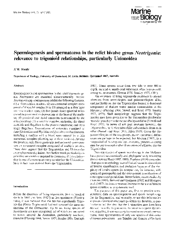 (PDF) Spermiogenesis and spermatozoa in the relict bivalve genus ...