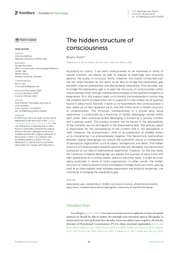 (PDF) The hidden structure of consciousness