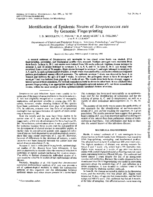 (PDF) Identification of epidemic strains of Streptococcus suis by ...
