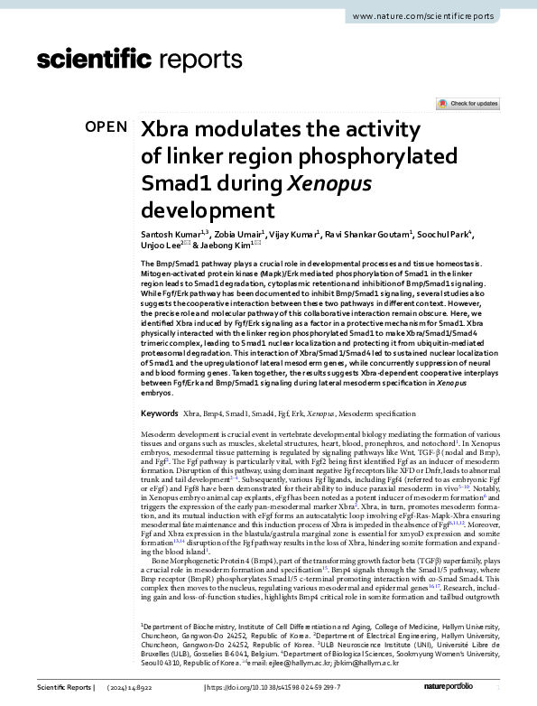 (PDF) Xbra modulates the activity of linker region phosphorylated Smad1 ...