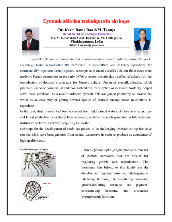 (PDF) Eyestalk ablation in shrimps