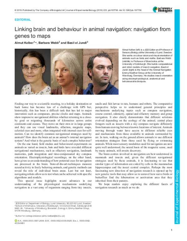 (PDF) Linking brain and behaviour in animal navigation: navigation from ...