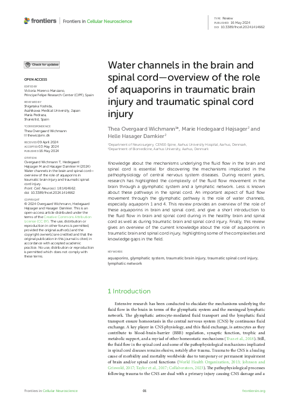 (PDF) Water channels in the brain and spinal cord—overview of the role ...