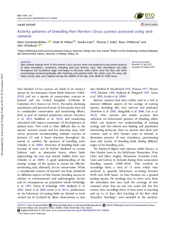 (PDF) Activity patterns of breeding Hen Harriers Circus cyaneus ...