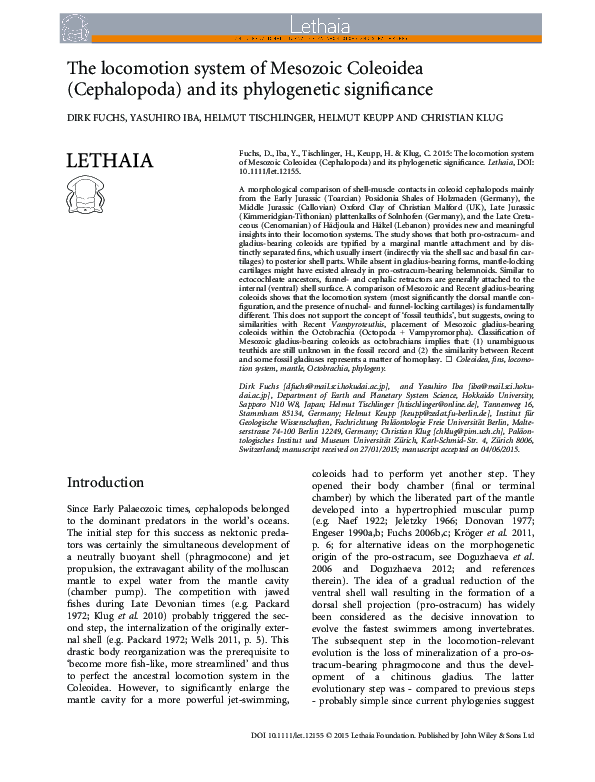 (PDF) The locomotion system of Mesozoic Coleoidea (Cephalopoda) and its ...