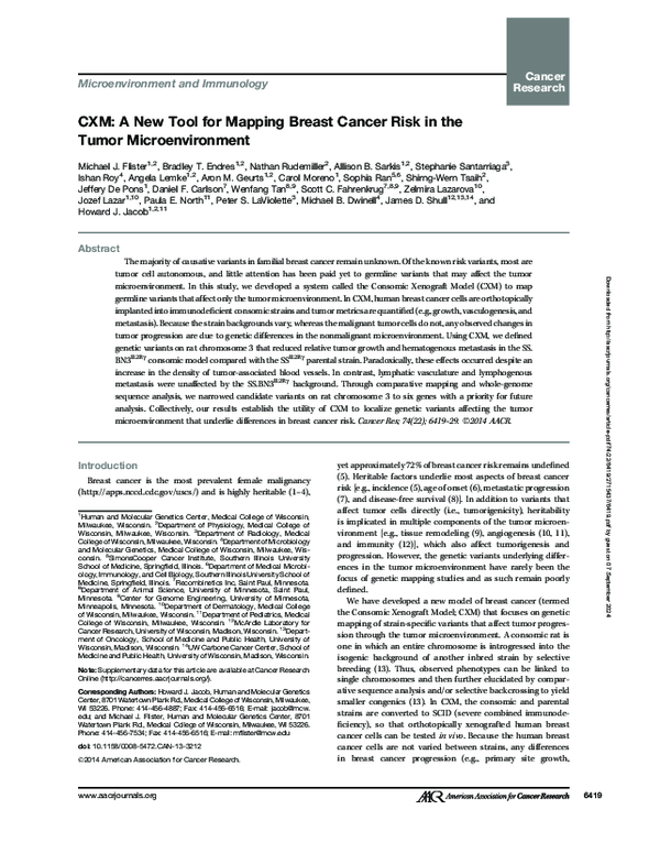 (PDF) CXM: a new tool for mapping breast cancer risk in the tumor ...