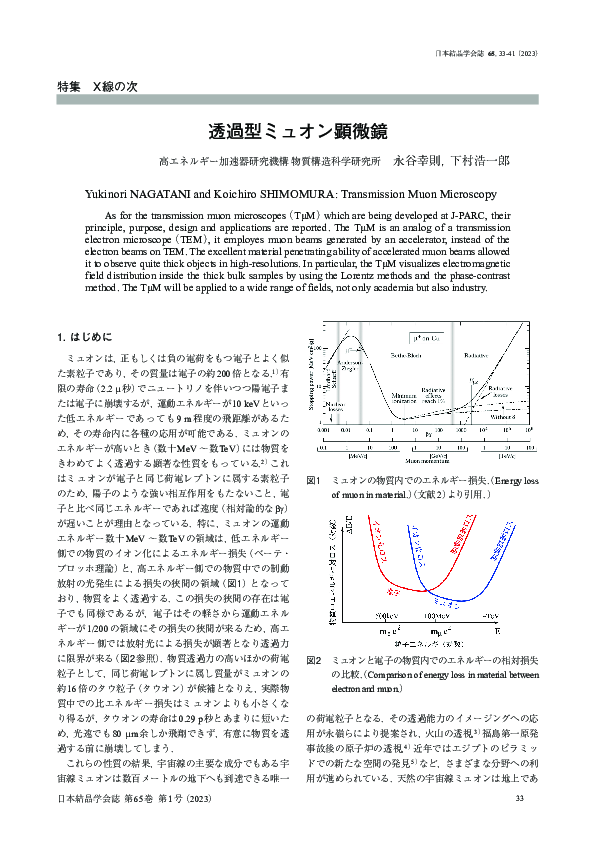 (PDF) Transmission Muon Microscopy