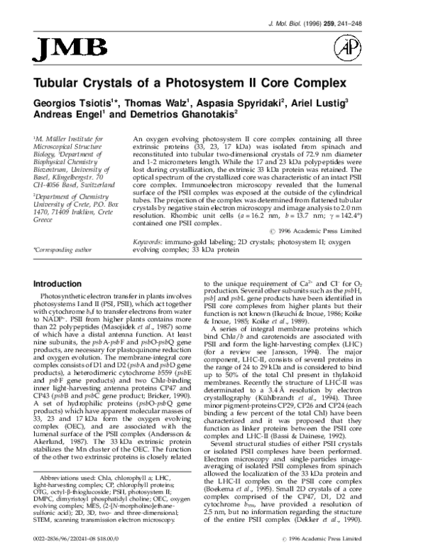 Tubular Crystals of a Photosystem II Core Complex