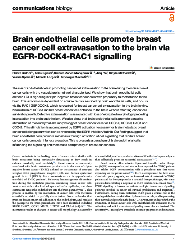 (PDF) Brain endothelial cells promote breast cancer cell extravasation ...