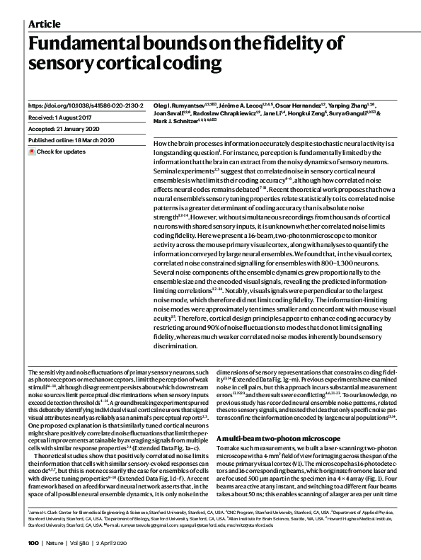 (PDF) Fundamental bounds on the fidelity of sensory cortical coding