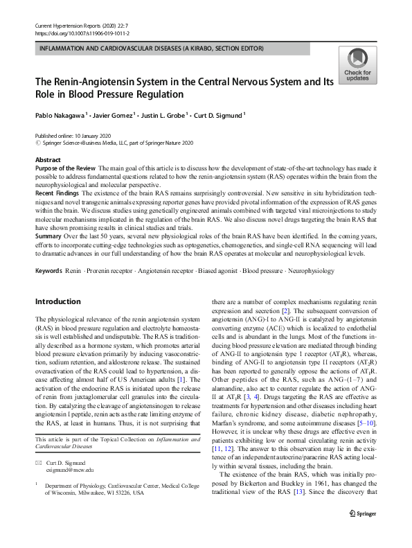 (PDF) The Renin-Angiotensin System in the Central Nervous System and ...
