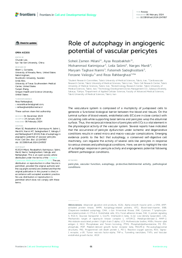 (PDF) Role of autophagy in angiogenic potential of vascular pericytes