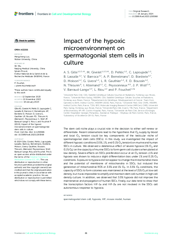 (PDF) Impact of the hypoxic microenvironment on spermatogonial stem ...