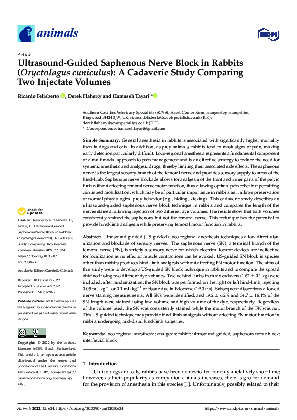 (PDF) Ultrasound-Guided Saphenous Nerve Block in Rabbits (Oryctolagus ...