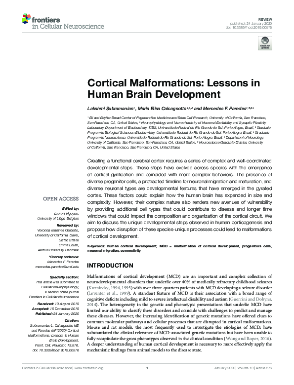 (PDF) Cortical Malformations: Lessons in Human Brain Development ...