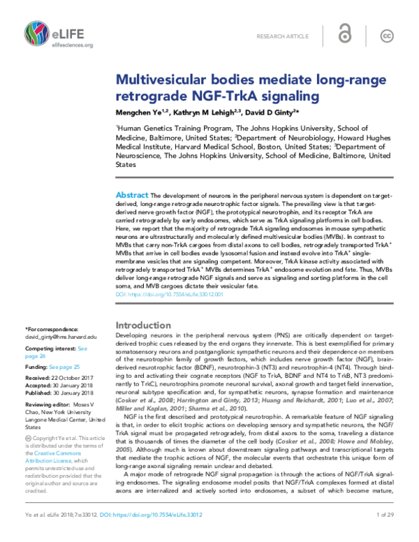 (PDF) Faculty of 1000 evaluation for Multivesicular bodies mediate long ...