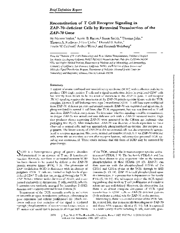 Reconstitution of T cell receptor signaling in ZAP-70-deficient cells by retroviral transduction of the ZAP-70 gene