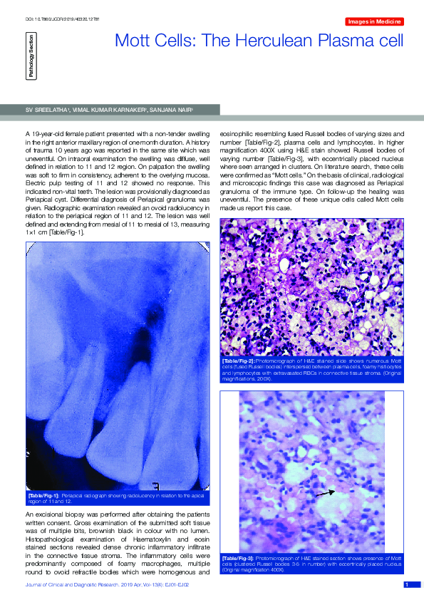(PDF) Mott Cells: The Herculean Plasma cell