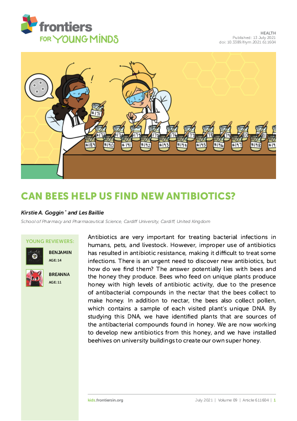 (PDF) Can Bees Help us Find New Antibiotics?
